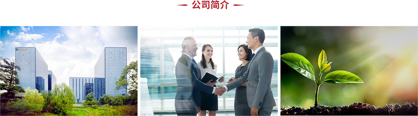 1公司简介